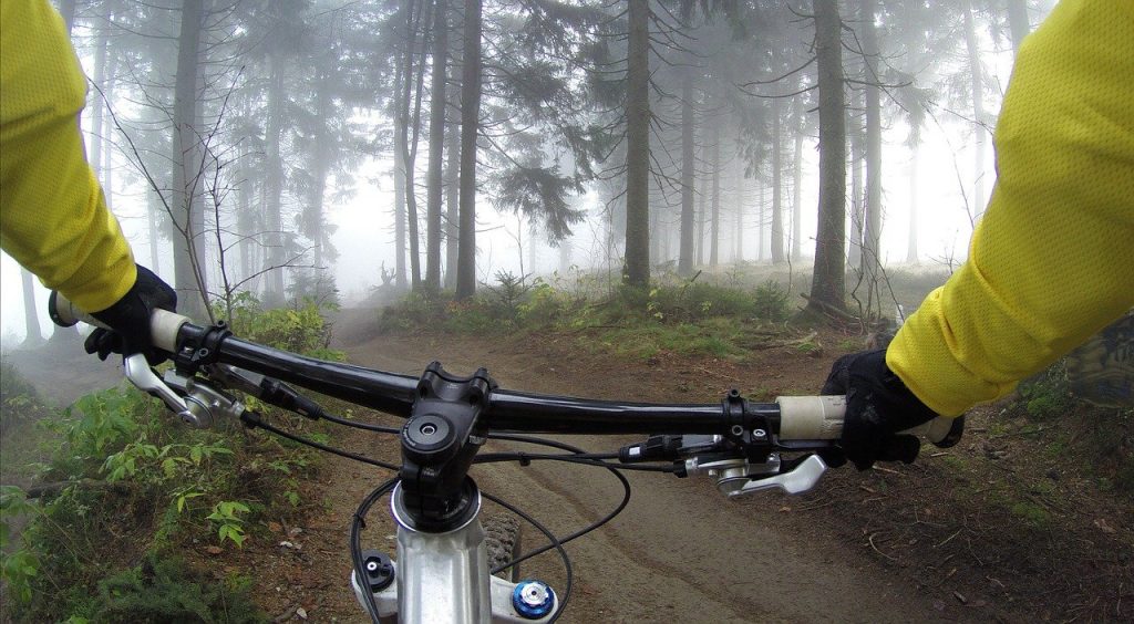 cycling, handlebars, woods