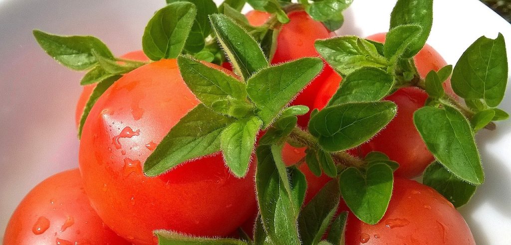 tomatoes, basil, fruit-1002158.jpg